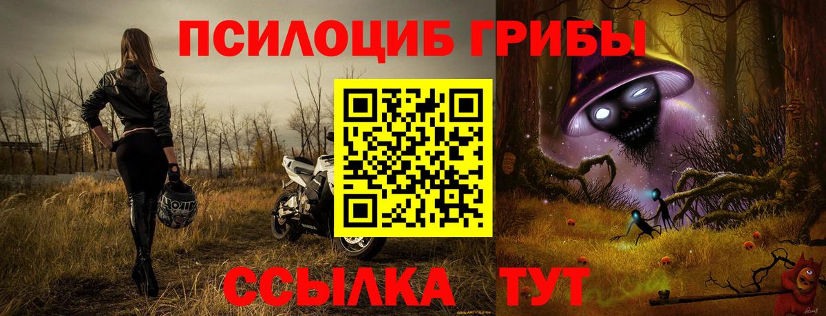 Псилоцибиновые грибы GOLDEN TEACHER  Псилоцибиновые грибы прущие грибы  Вход с VPN  Горячий Ключ 