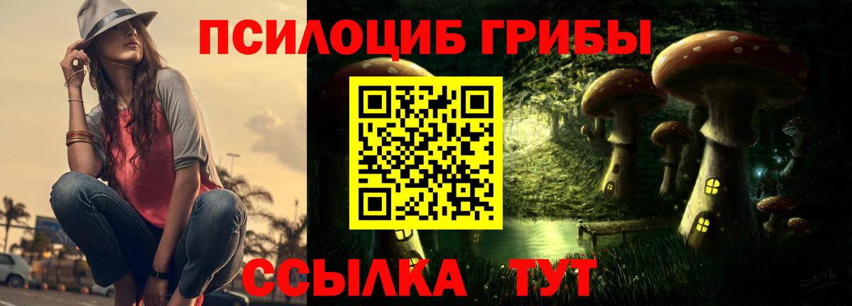 Галлюциногенные грибы прущие грибы Горячий Ключ