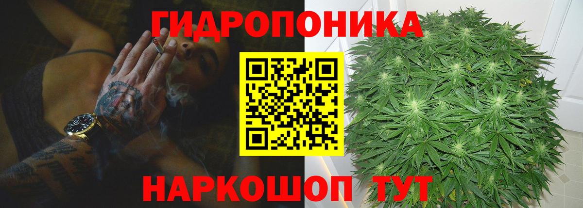 Конопля Bruce Banner  МАРИХУАНА White Widow  Шишки марихуана марихуана  Вход с VPN  Горячий Ключ 